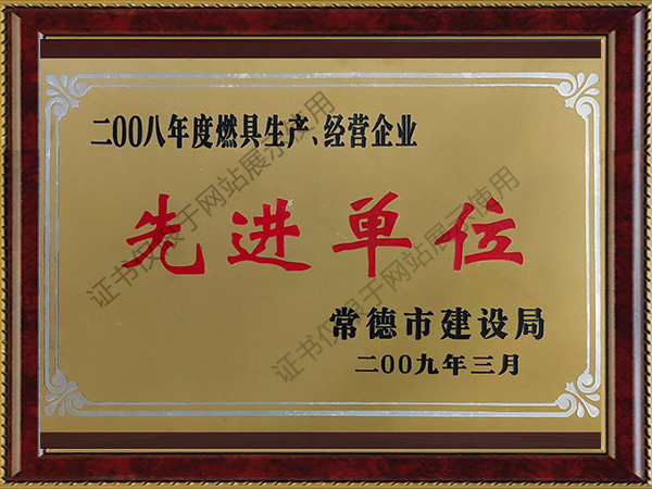 2008年度燃具生产、经营企业先进单位